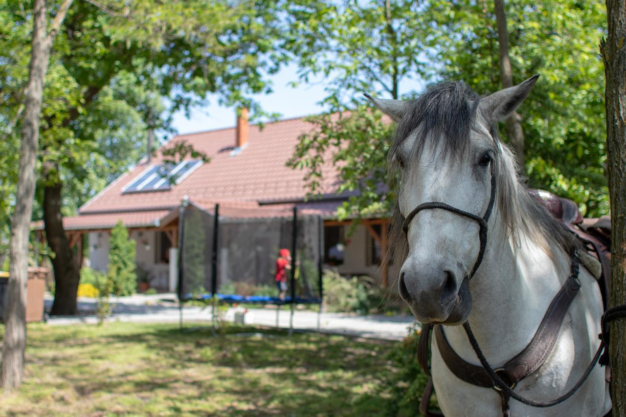 Hotel Tölgyfa Vendégház Kiskoros Exterior foto